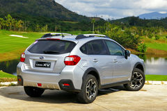 ˹ XV  ^ DƬ