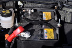 R_(d) Mazda8 (sh) ױP/(dng) DƬ