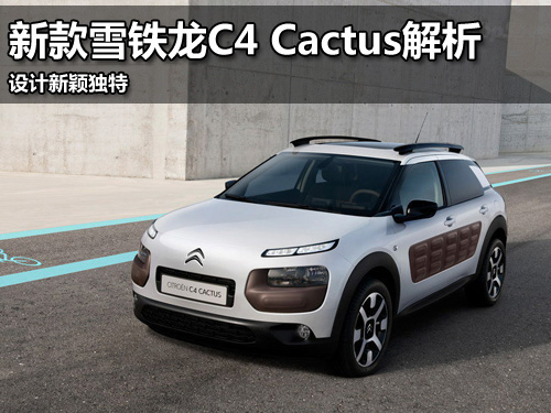 ¿ѩFC4 Cactus OӋ·f