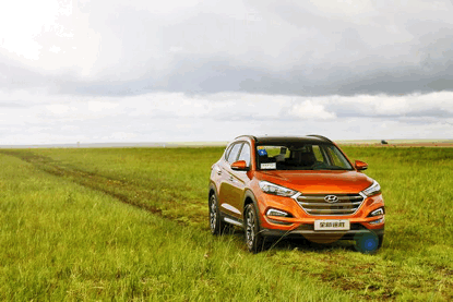 image003.gif