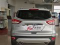 2013  2.0L GTDi (q)F