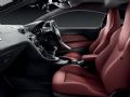 (bio)RCZ 2013  Magnetic_D2