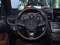 YGLS 2016  GLS 500 4MATIC_D4