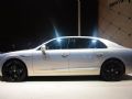 wY 2017  6.0T W12 S (bio)(zhn)_D6