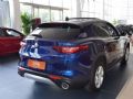 Stelvio 2017  2.0T 200HP Ӣ_D4