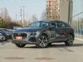 WQ8 2019  55 TFSI x(dng)_D1