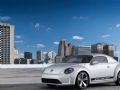 2012 ךx E-Bugster 