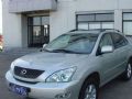 ׿_˹RX 300