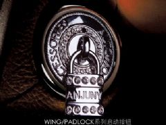  WING/PADLOCKϵ (dng)o